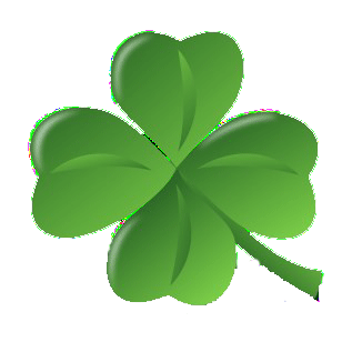 clover_01