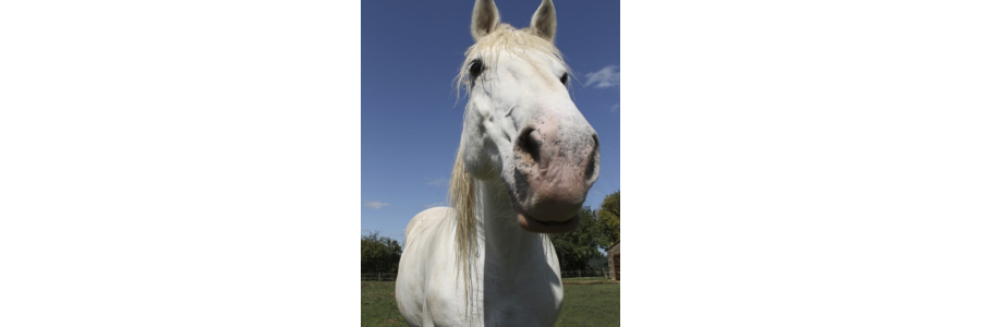 Betting The Farm Your Backups Are Safe?