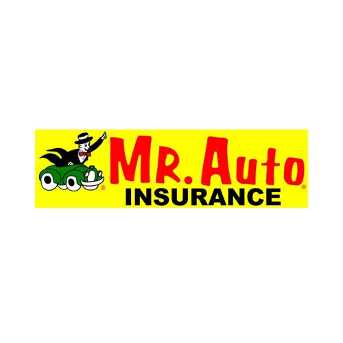 mr auto west palm beach IT client