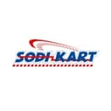 sodi kart it solutions client