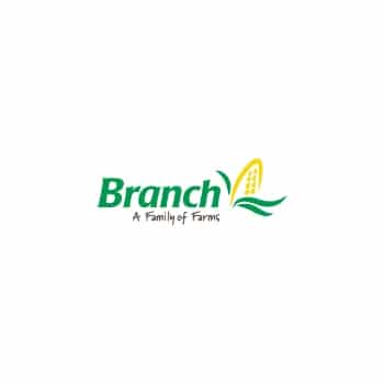 branch it solutions